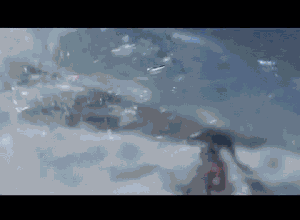 body boarding (drop knee frontside snap)